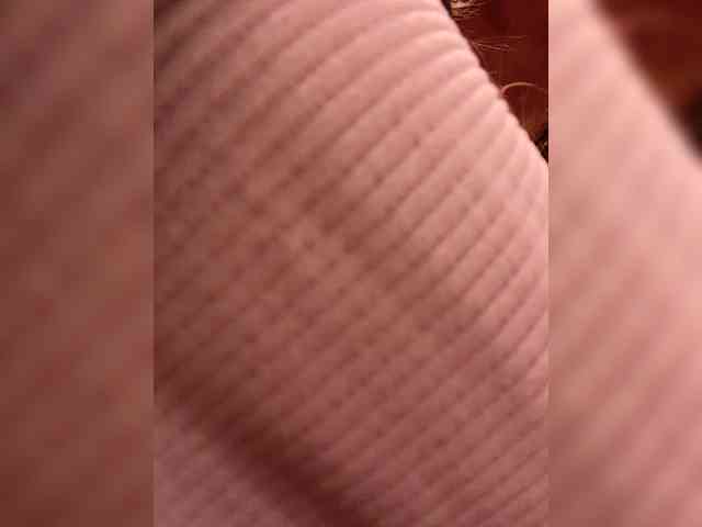 LiiBaby webcam