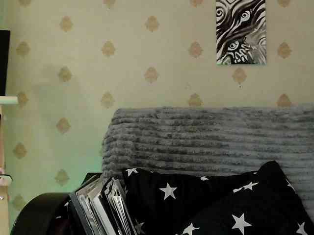 Yrriel_Autist webcam