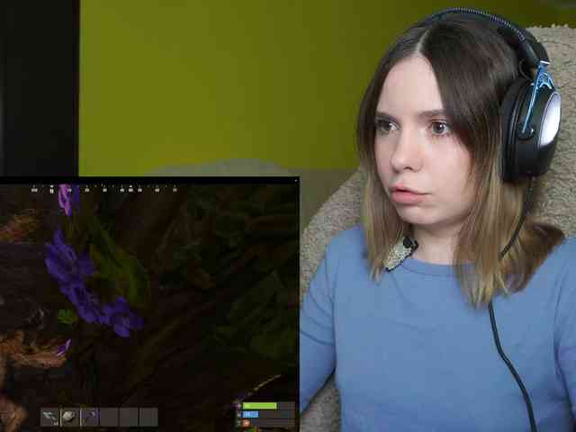 DerzhiChlen webcam