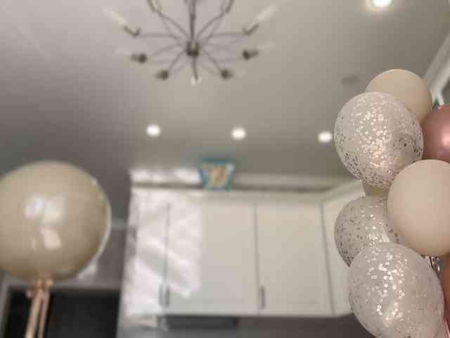 Funny_Bunny_ webcam