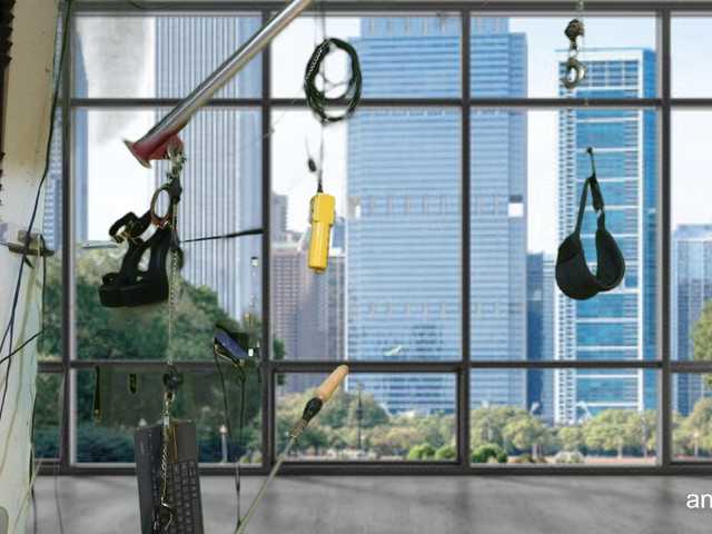 Preview of angelinasia