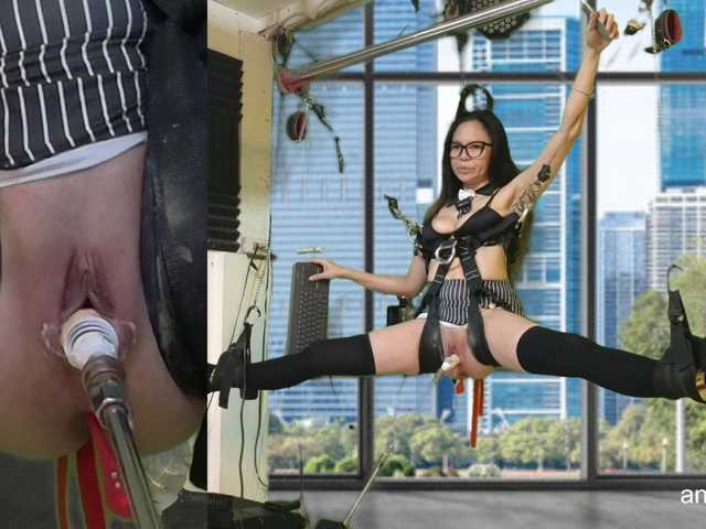 angelinasia