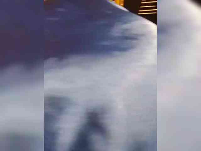 Andrei2409199 webcam