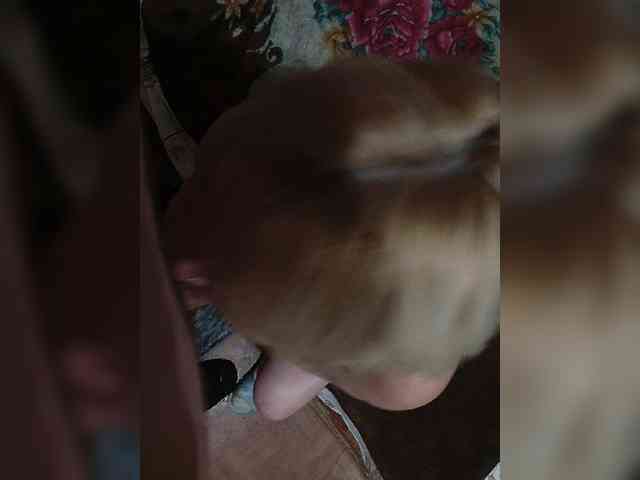 Andrei2409199 webcam