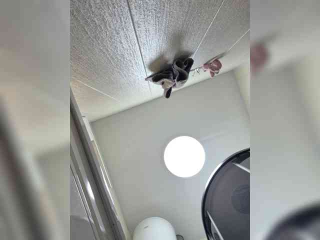 MaryWoooW webcam