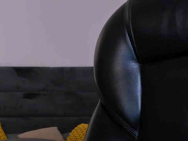 KylaMorrison webcam