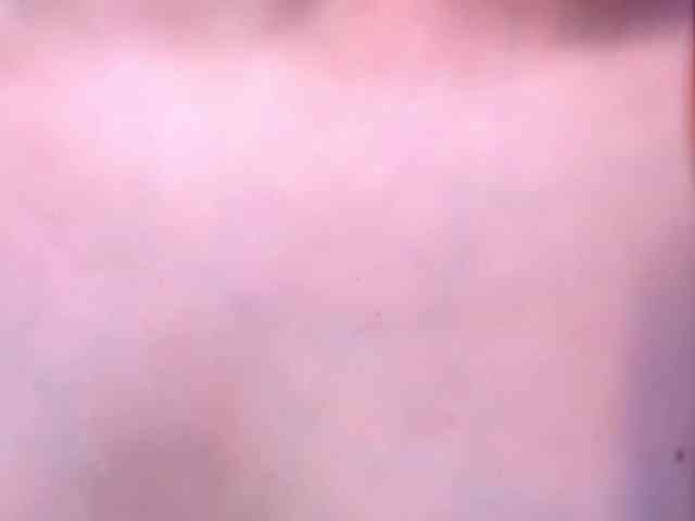 kisskissssss webcam