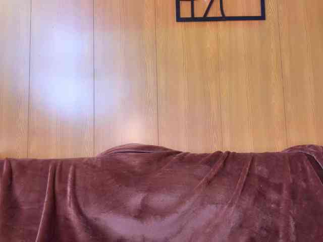 kisskissssss webcam