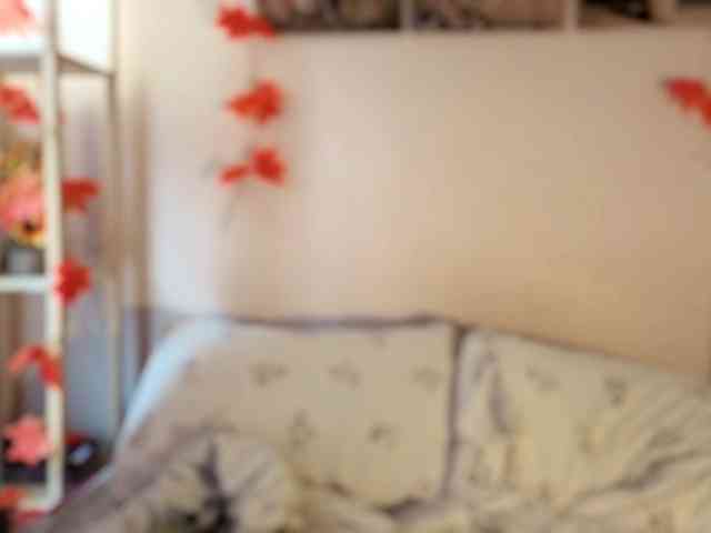 LadyAnny webcam