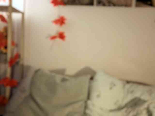 LadyAnny webcam