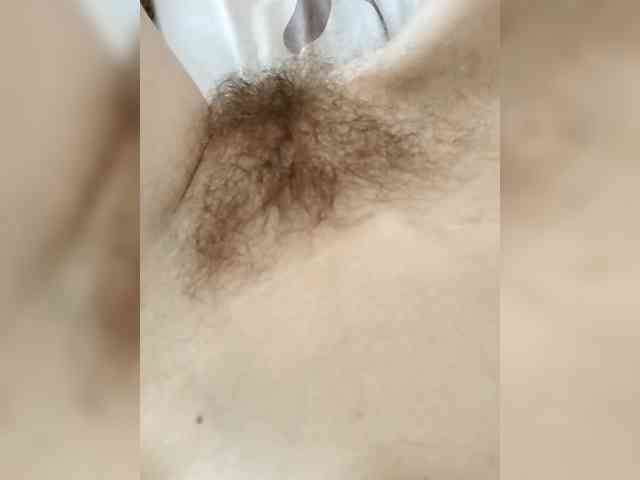 FeraeCat webcam