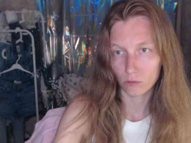 FeraeCat webcam