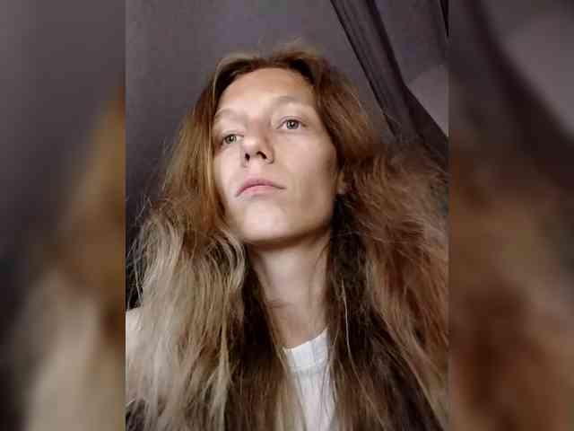 FeraeCat webcam