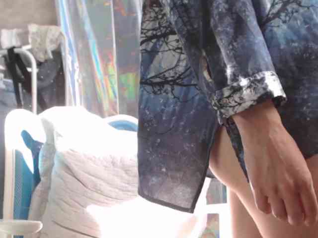 FeraeCat webcam