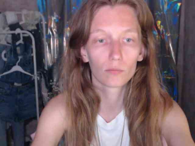 FeraeCat webcam