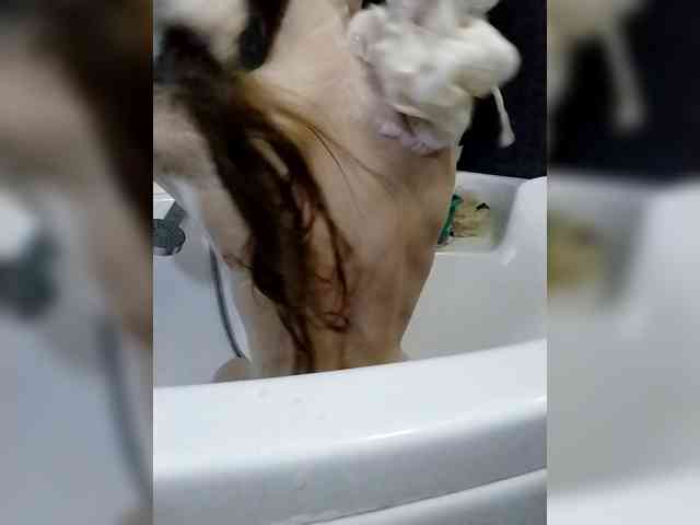 FeraeCat webcam