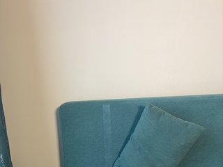 Rosen_s Porn Show