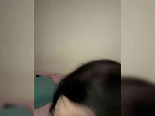 Rosen_s webcam