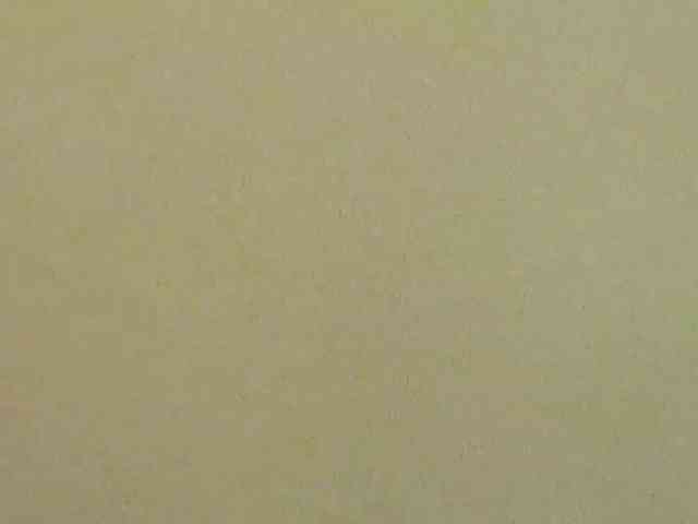 Nidhilove webcam