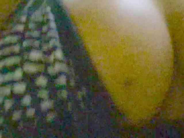 Nidhilove webcam