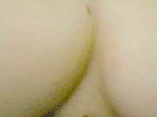 Nidhilove webcam