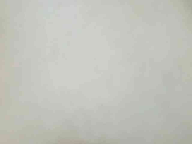 Nidhilove webcam