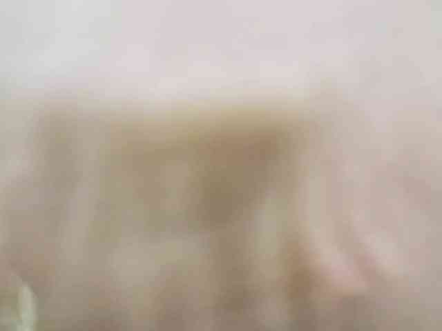 Nidhilove webcam