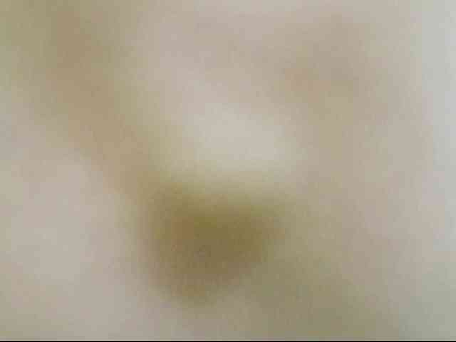 Nidhilove webcam