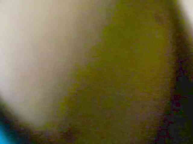 Nidhilove webcam