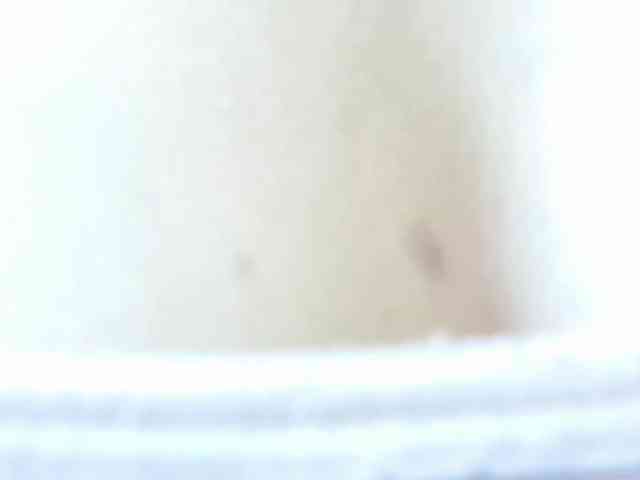 Nidhilove webcam