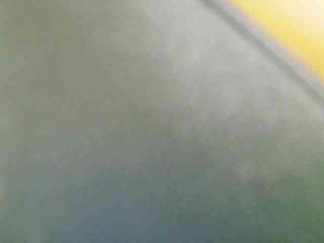Nidhilove webcam