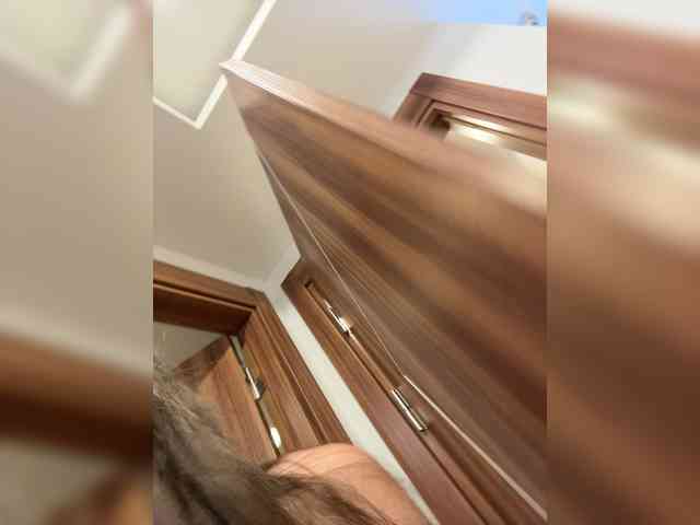 EvgeniyQWE55a Live Webcam on BongaCams