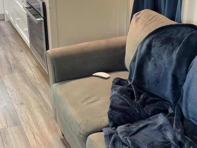 2CP live cam on BongaCams