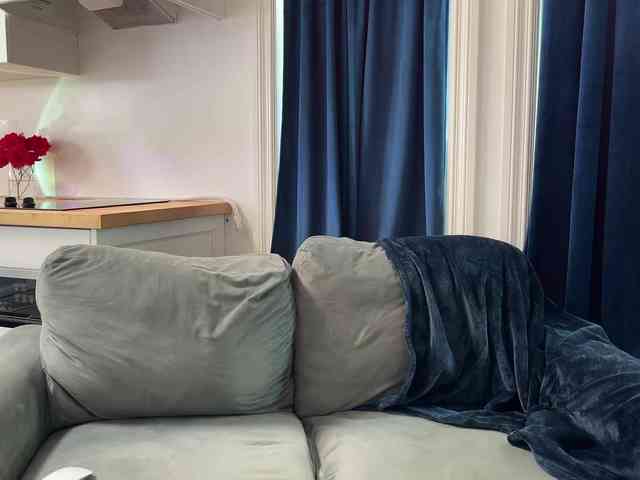 2CP webcam