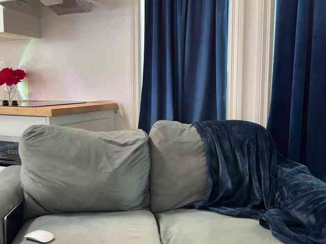 2CP webcam