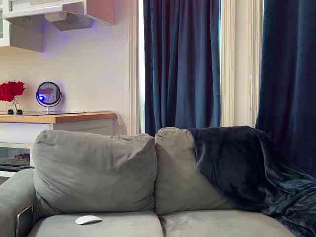 2CP webcam