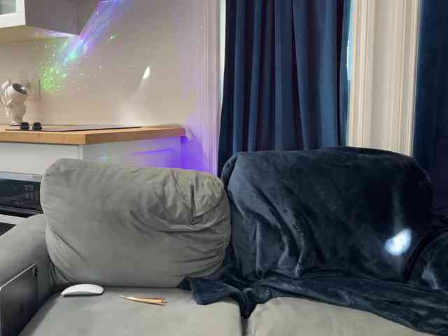 2CP webcam
