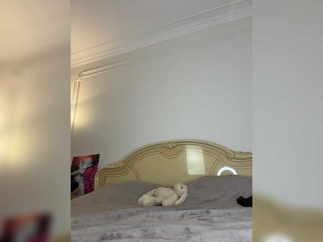 go to chat with avolood