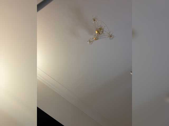 avolood live cam on BongaCams
