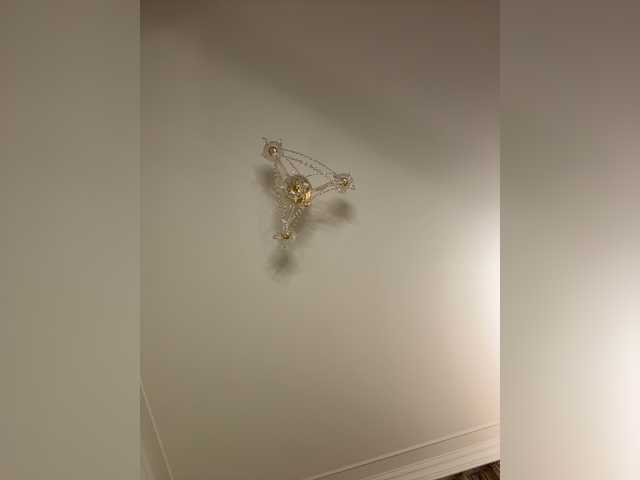 avolood's BongaCams show and profile