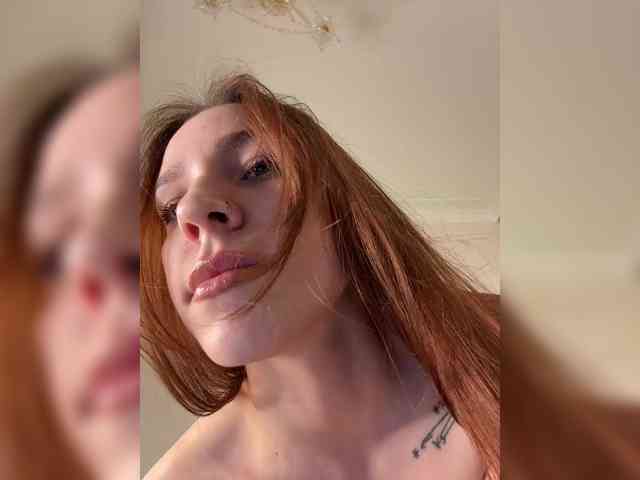 avolood webcam