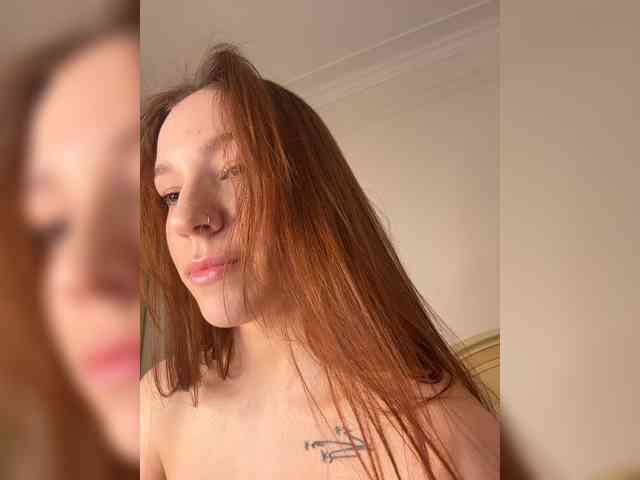 avolood webcam