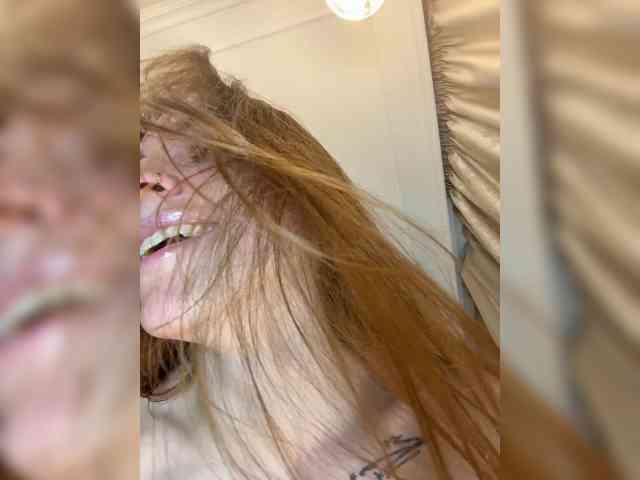 avolood webcam