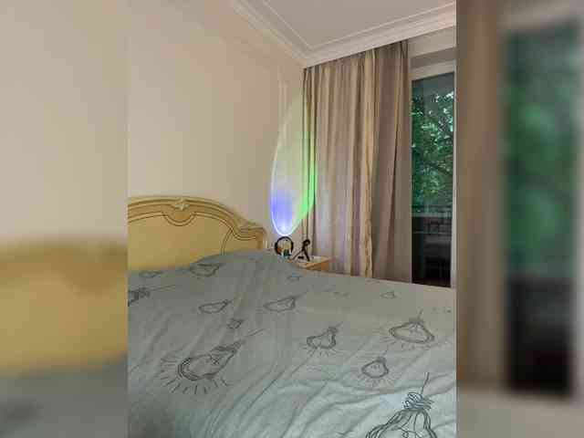 avolood webcam