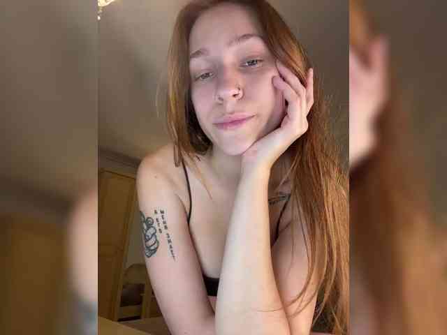 avolood webcam