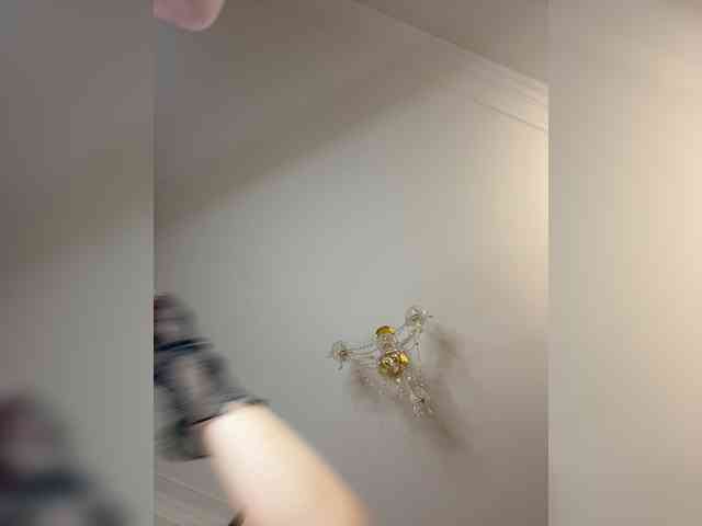 avolood webcam