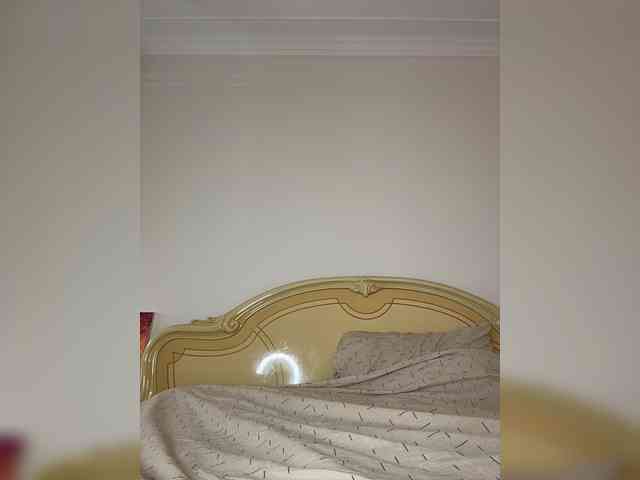 avolood webcam