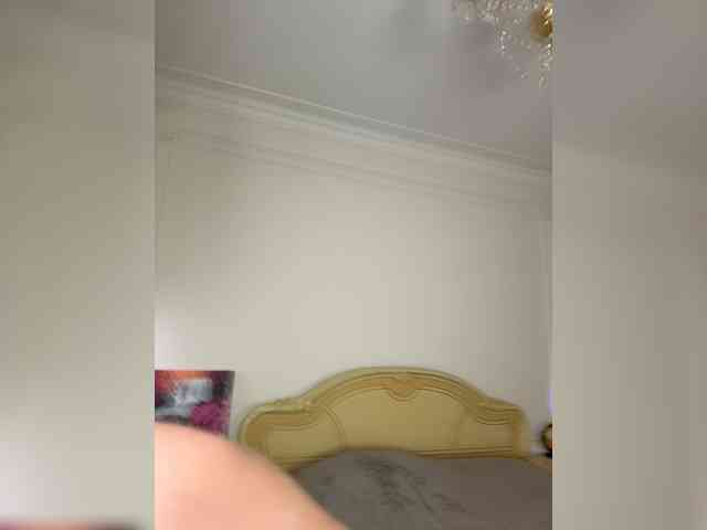 avolood webcam