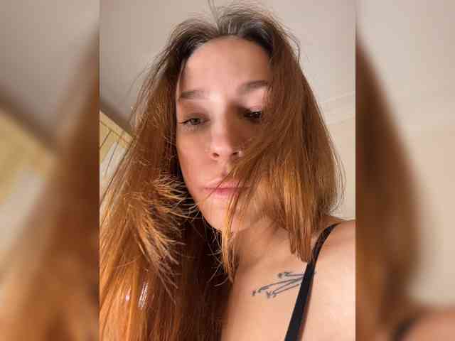 avolood webcam