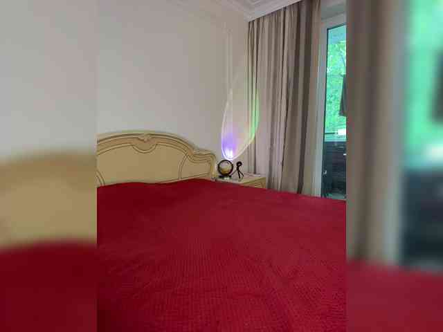 avolood webcam